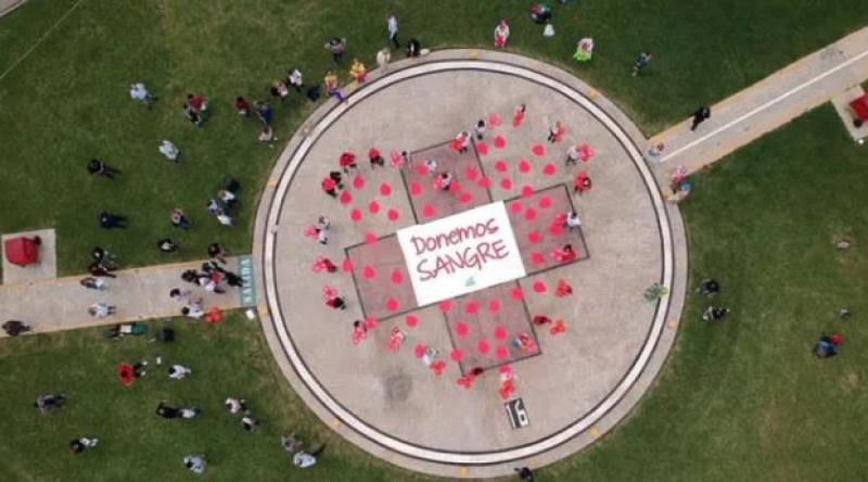 Día Nacional del Donante Voluntario de Sangre